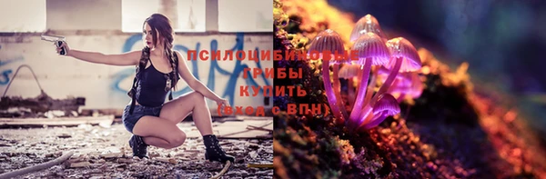индика Лиски
