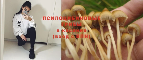 2c-b Лихославль