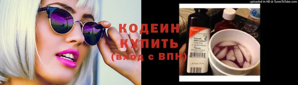 индика Лиски