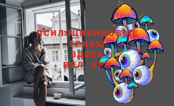 индика Лиски
