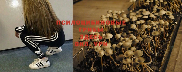 2c-b Лихославль