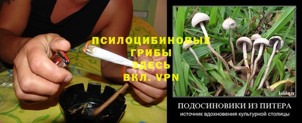 индика Лиски