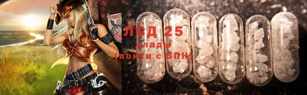 индика Лиски